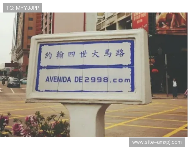 澳门新葡京455支付方式介绍多样选择保障玩家资金安全与便捷操作