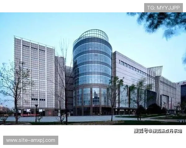 澳门新葡京国际登录多平台兼容性分析与用户体验优化方案