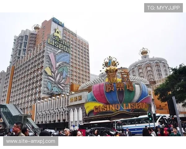 葡京网上游戏技巧与策略详解提升玩家获胜几率的实用方法与建议